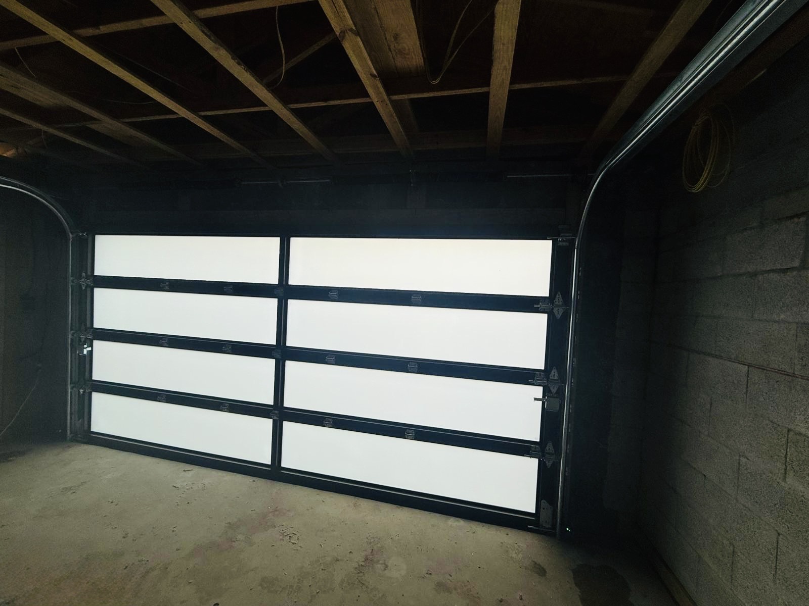 2-Car Full-Glass Garage Door in Black finish