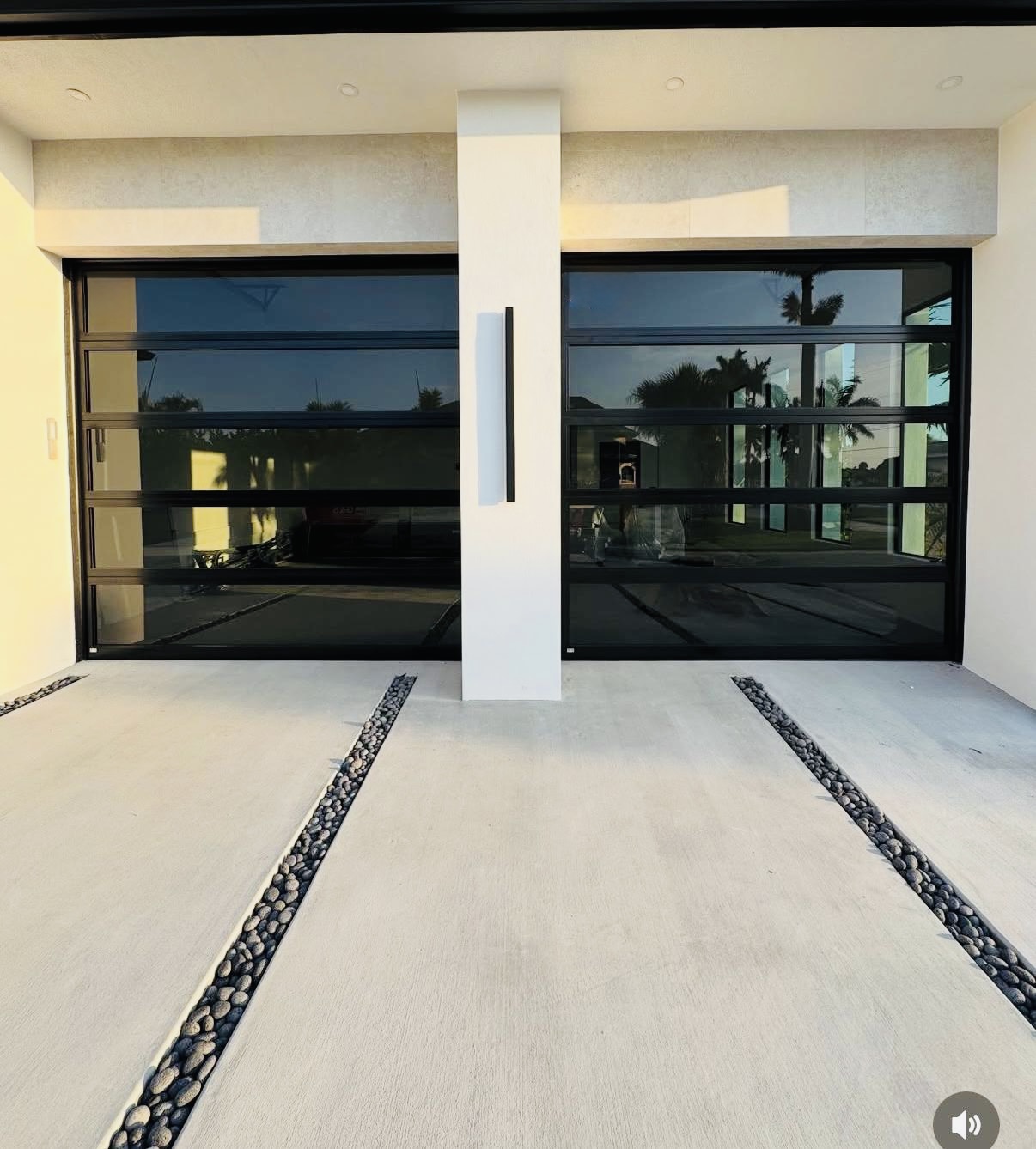 2-Car Full-Glass Garage Door in Black finish