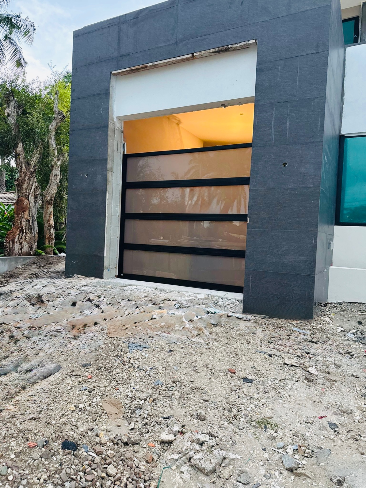 2-Car Full-Glass Garage Door in Black finish
