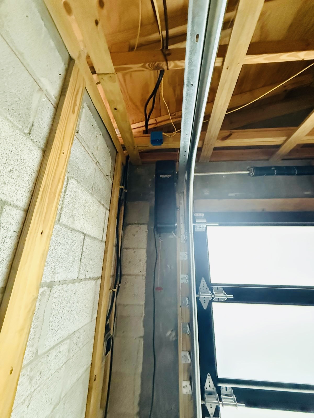 2-Car Full-Glass Garage Door in Black finish