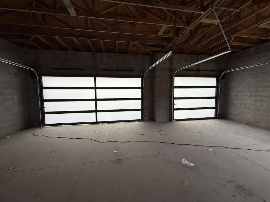 2-Car Full-Glass Garage Door in Black finish